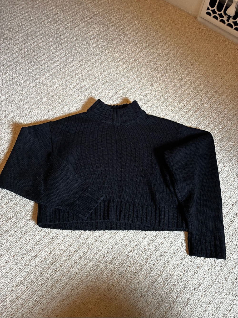 Wilfred Free “Heinen” Black Merino Will Cropped Turtleneck Sweater